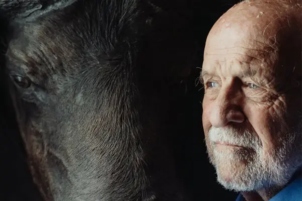 Alucinaciones en el adulto mayor - Dra. Bardales - Geriatra